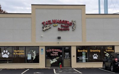 New Retail Store Signage – Tailwaggers – Cincinnati, OH