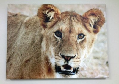 Stretched Canvas Signs